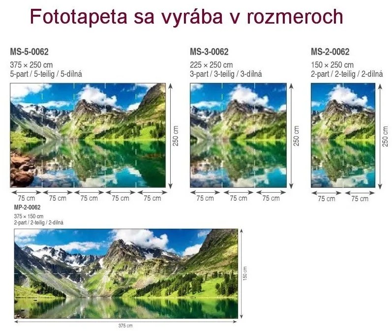 Φωτογραφική ταπετσαρία ηλίανθος - 150x250