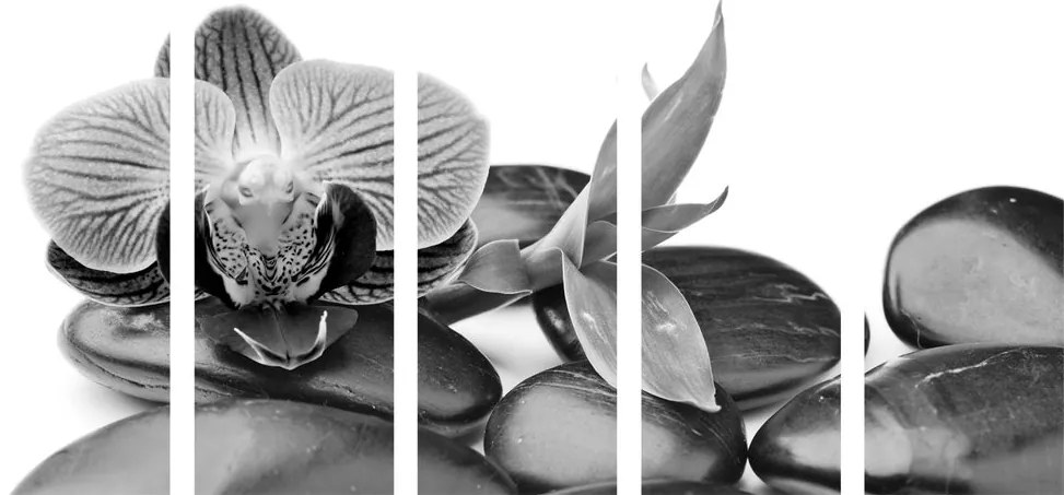 Πέτρες ευεξίας με εικόνα 5 μερών σε μαύρο & άσπρο - 100x50
