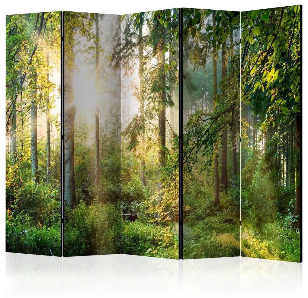 Διαχωριστικό με 5 τμήματα - Untamed Nature II [Room Dividers] 225x172