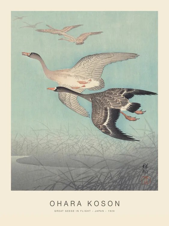 Αναπαραγωγή Great geese in flight (Special Edition) - Ohara Koson