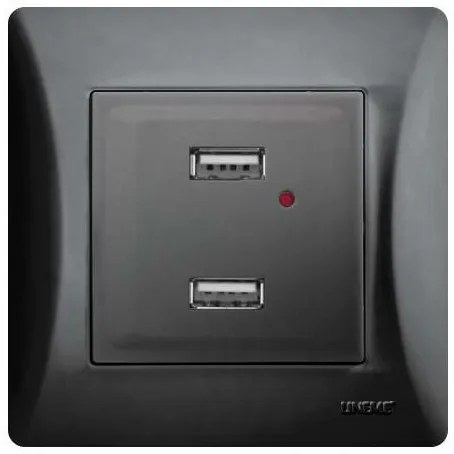 Πρίζα USB 2 Θύρες Μαύρο H-Series 50-00139-2 Lineme 50-00139-2