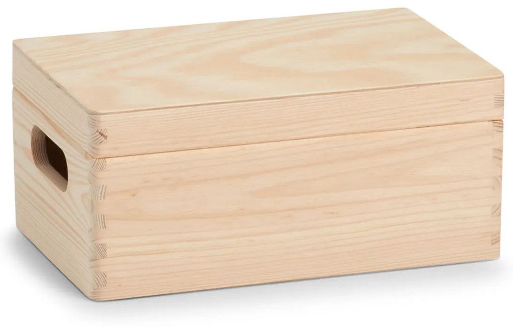 Κουτί Αποθήκευσης (30x20x15) Z-L Softwood 13150