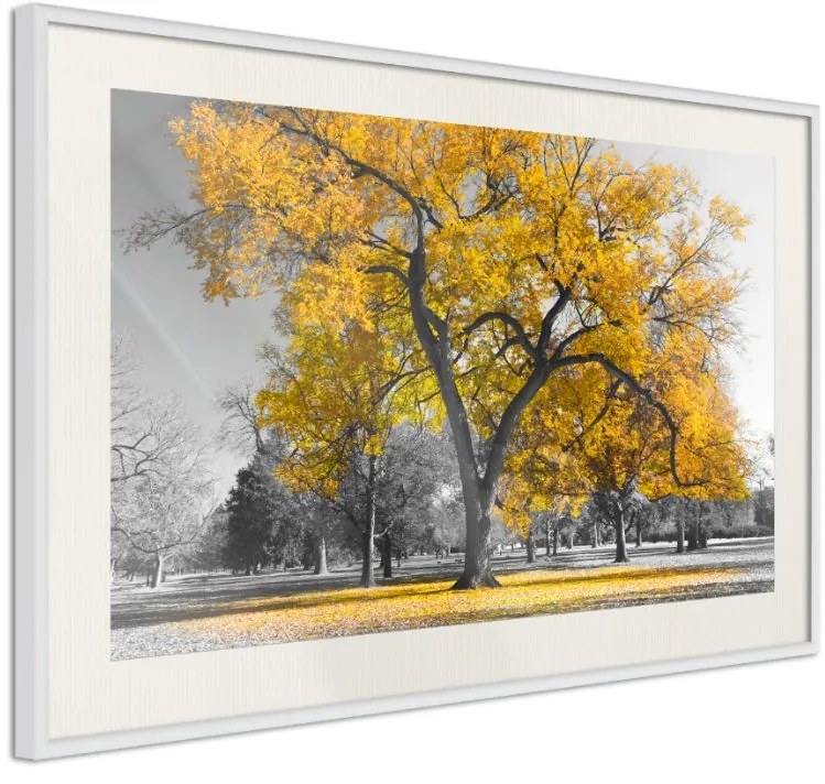 Αφίσα - Golden Tree - 30x20 - Χρυσό - Χωρίς πασπαρτού