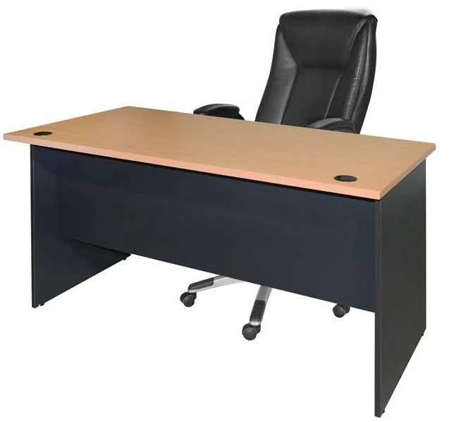 ΓΡΑΦΕΙΟ ΕΠΑΓΓΕΛΜΑΤΙΚΟ SIENNA 120x70x75Y-- HM2015.01 ΓΚΡΙ-ΟΞΙΑ