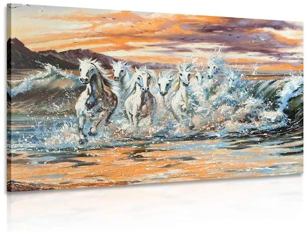 Εικόνα άλογα που σχηματίζονται από νερό - 60x40