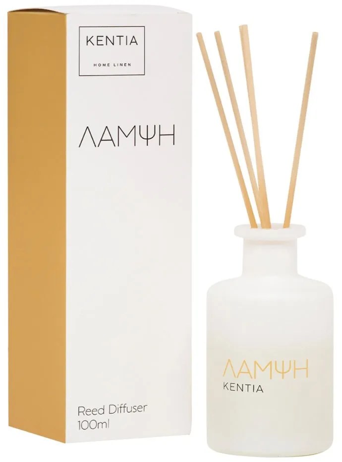 Αρωματικό Χώρου Με Sticks Mood 25 Λάμψη 100ml Ginger Lemon Tart Kentia Γυαλί