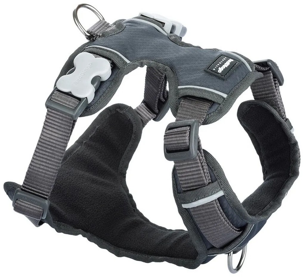 Λουρί Σκύλου Red Dingo Γεμισμένο Γκρι S