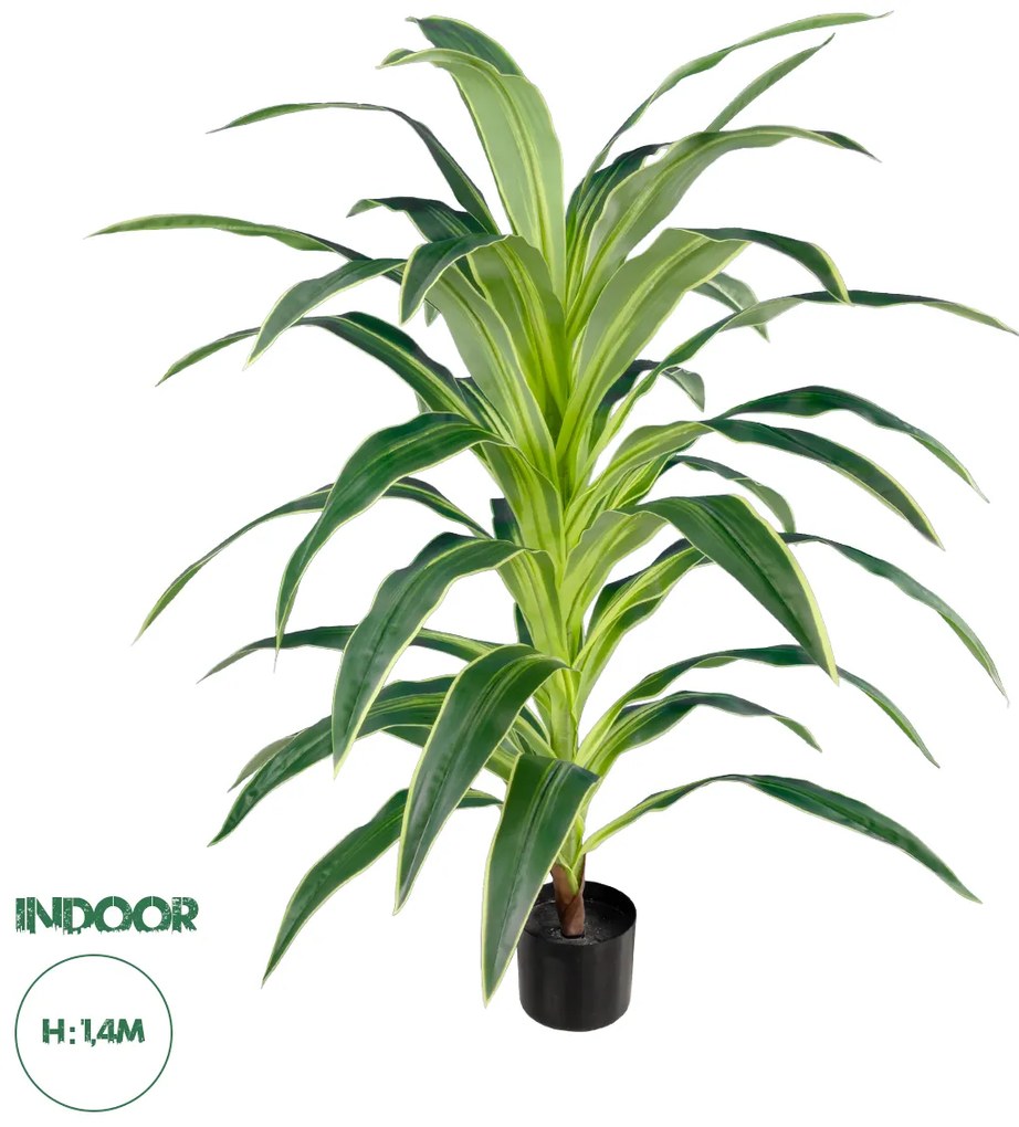 20020 GloboStar®  Artificial Garden BRAZILIAN IRON 20020 - Τεχνητό Διακοσμητικό Φυτό Αρωματική Δράκαινα Υ140cm