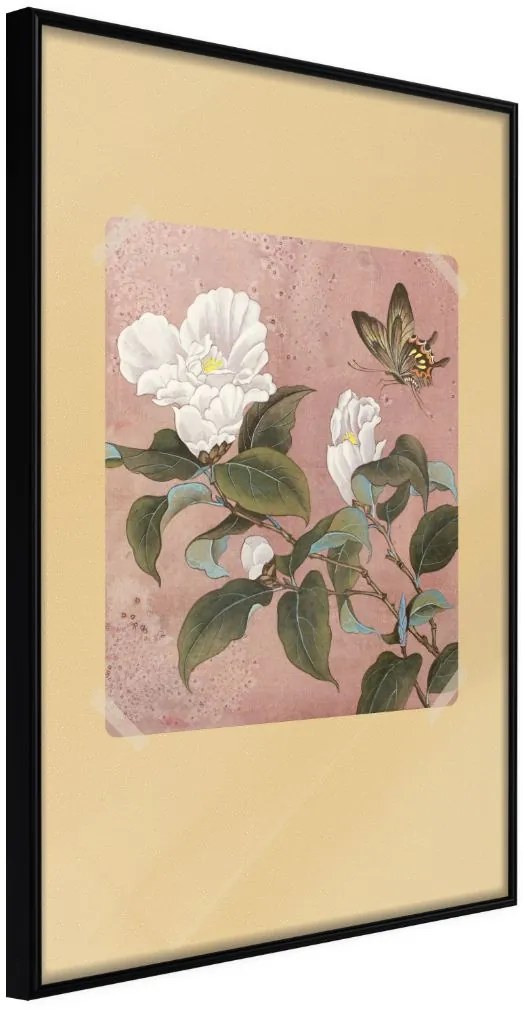 Αφίσα - Rhododendron and Butterfly - 20x30 - Μαύρο - Χωρίς πασπαρτού