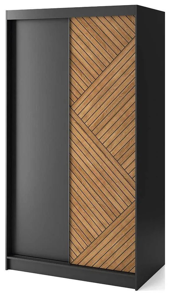 Ντουλάπα Δίφυλλη Συρόμενη Phylo II 162738539 120x60x220cm Oak-Black Δίφυλλη