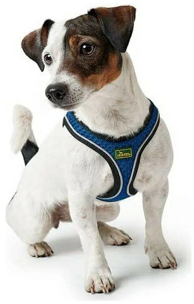 Λουρί Σκύλου Hunter Hilo-Comfort Μπλε Μέγεθος S/M (48-55 cm)