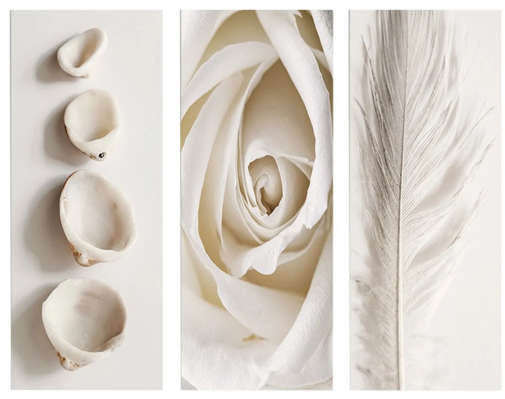 ΠΙΝΑΚΑΣ ΤΡΙΠΤΥΧΟ MDF NATURAL ELEMENTS HM7204.05 60X0,3X50 εκ.