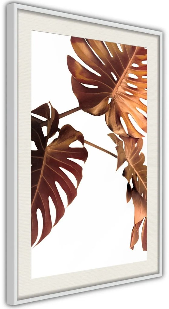 Αφίσα - Copper Monstera - 20x30 - Χρυσό - Χωρίς πασπαρτού