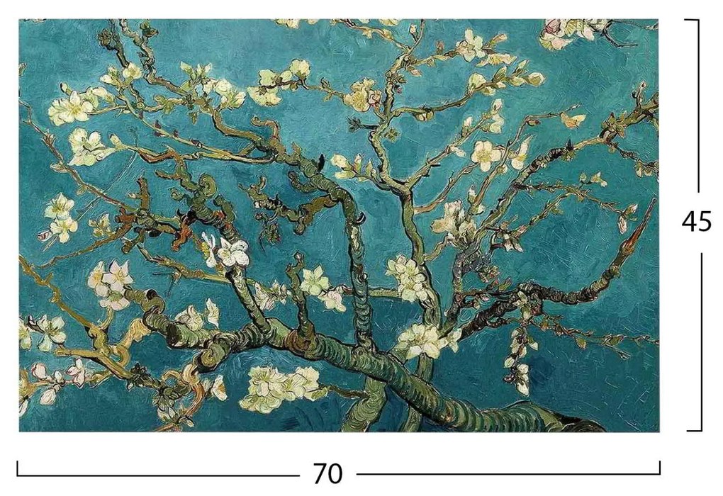 ΠΙΝΑΚΑΣ ΤΥΠΟΥ ALMOND TREE HM7193.03 70X45X3 εκ.