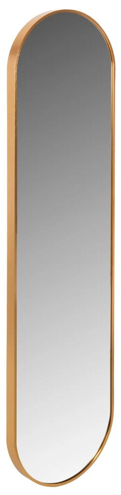 ΚΑΘΡΕΠΤΗΣ ΤΟΙΧΟΥ HM9581.30 ΨΗΛΟΣ ΟΒΑΛ ΣΚΕΛΕΤΟΣ ΑΛΟΥΜΙΝΙΟΥ ΧΡΥΣΟΣ 38,5x4x149Υεκ.