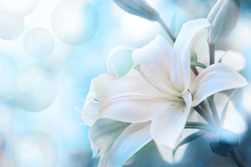 Εικόνα λευκό λουλούδι κρίνου σε αφηρημένο φόντο - 120x80