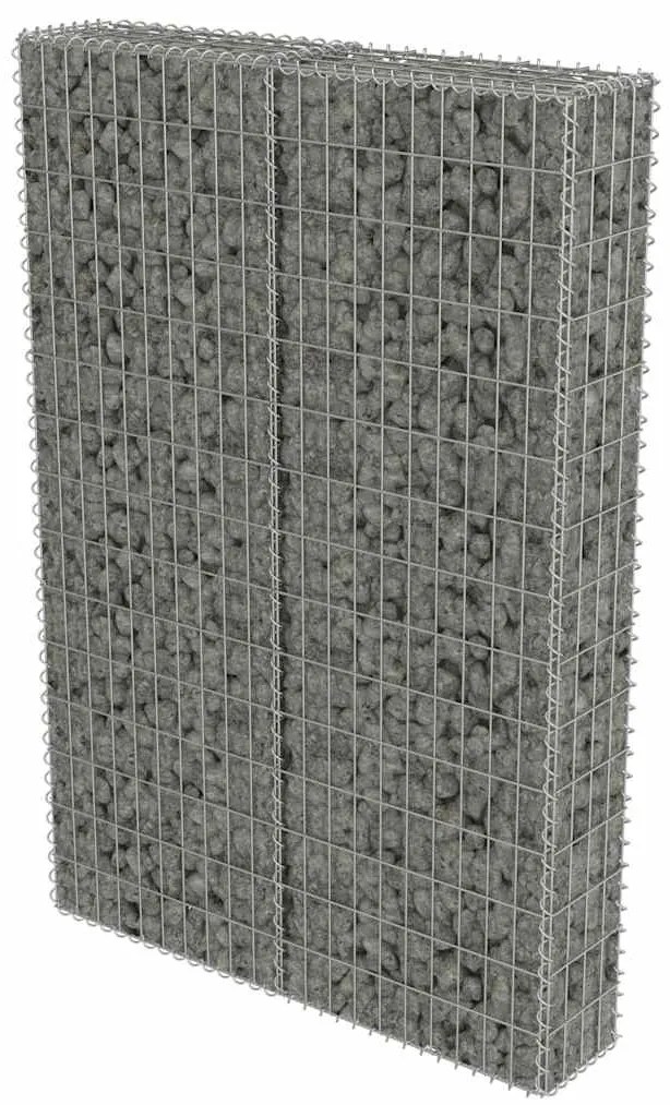 vidaXL Συρματοκιβώτιο Τοίχος 100x20x150 εκ. Γαλβαν.Χάλυβας + Καλύμματα