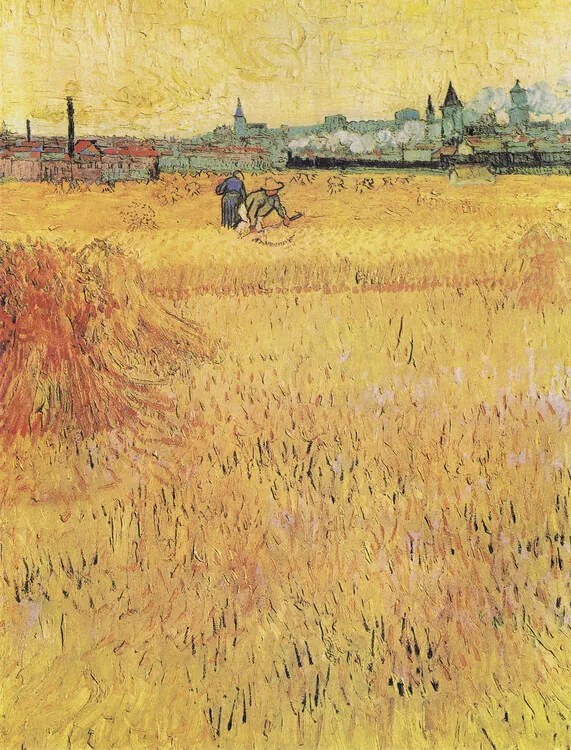 Αναπαραγωγή Wheat field with View of Arles (1888), Vincent van Gogh