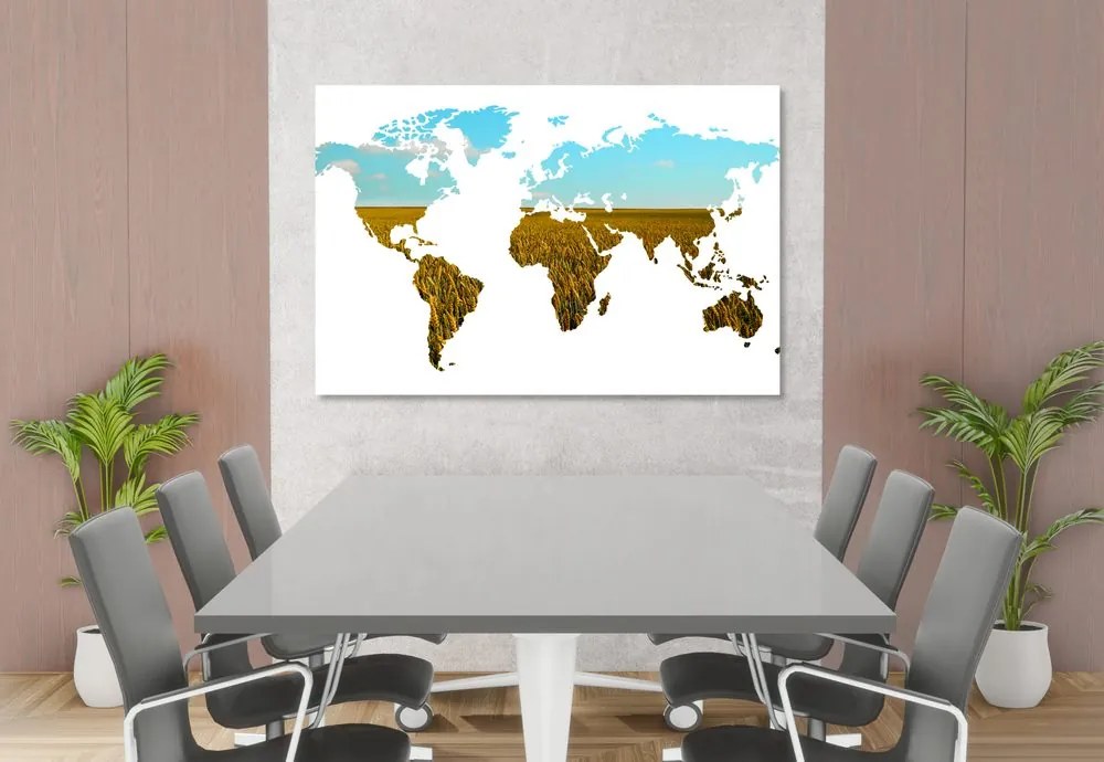 Εικόνα σε παγκόσμιο χάρτη φελλού σε λευκό φόντο - 120x80  smiley