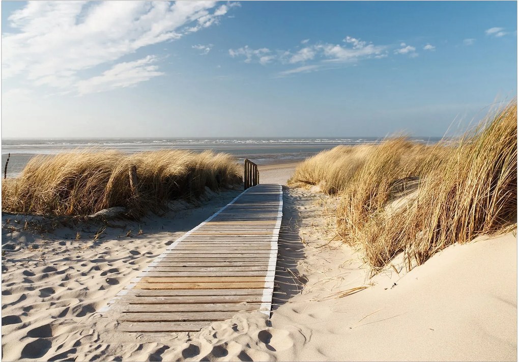 Αυτοκόλλητη φωτοταπετσαρία - Lonely Beach - 343x245