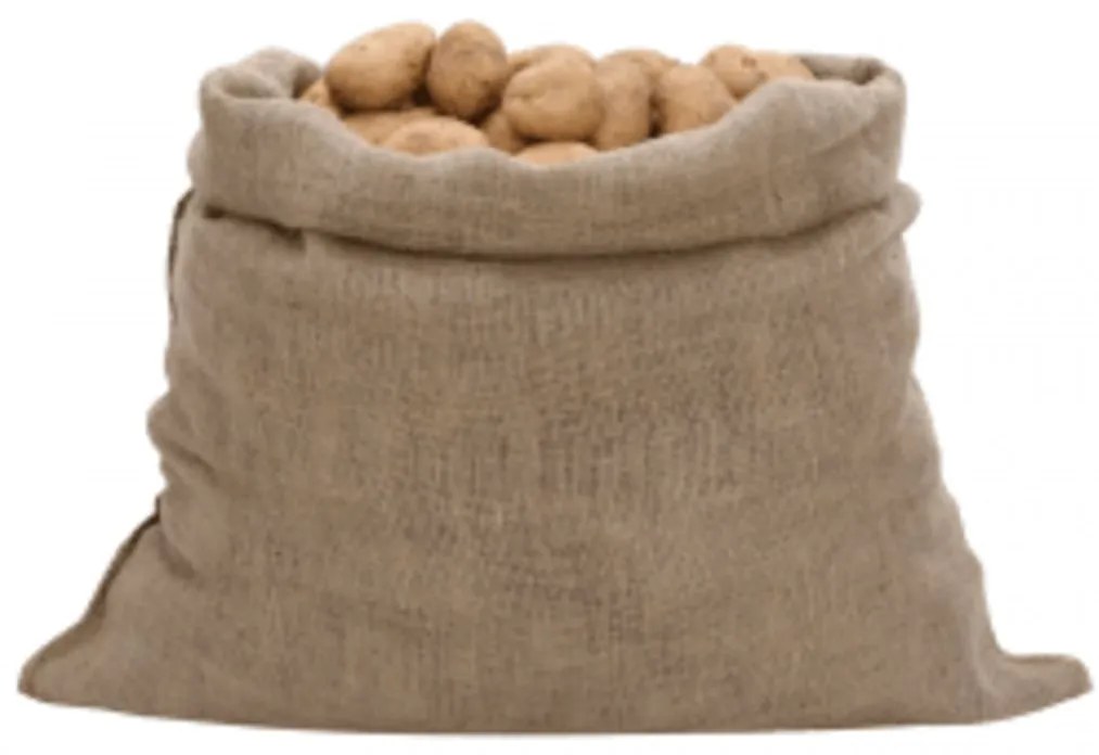 vidaXL Σακιά Γιούτας 30 Τεμ. 100 x 110 εκ. από Γιούτα 220 gsm