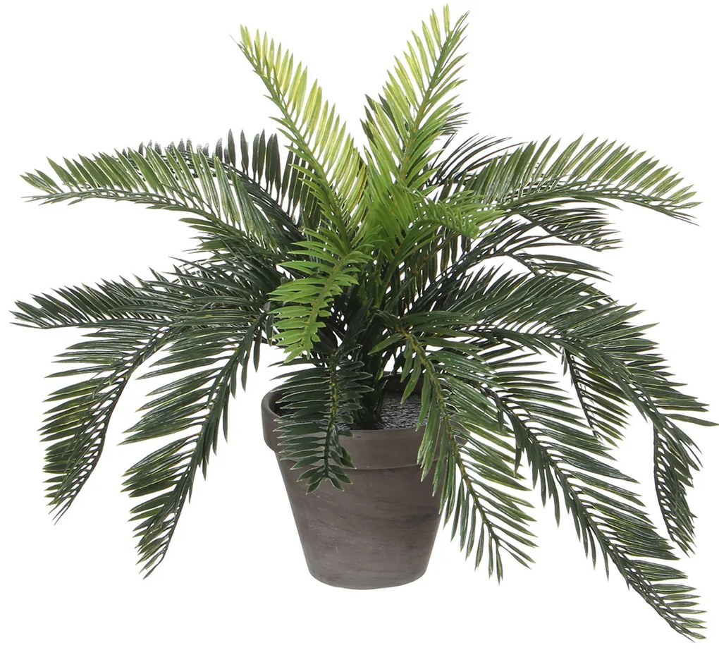 Τεχνητό Φυτό Σε Γλάστρα 37εκ. Edelman Cycas 1044529