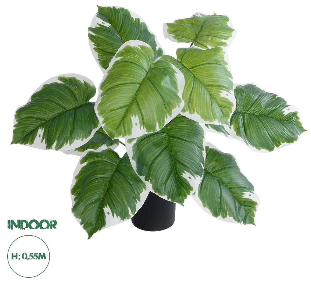 GloboStar® Artificial Garden WHITE HOSTA 20931 Διακοσμητικό Φυτό Λευκή  Χόστα Υ55cm