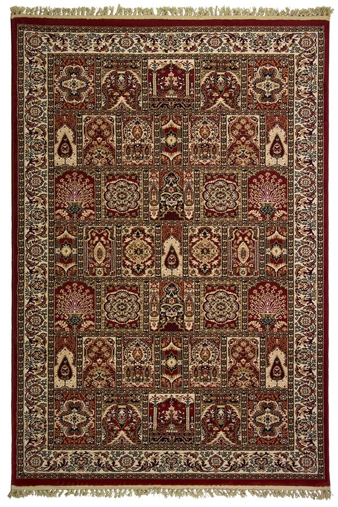 Χαλί (200x285) Βιοκαρπέτ Kirman 6809-1018 Red