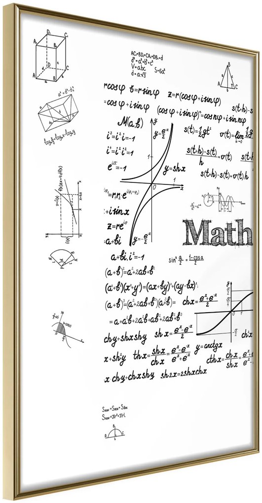 Αφίσα - Math Formulas - 40x60 - Χρυσό - Χωρίς πασπαρτού