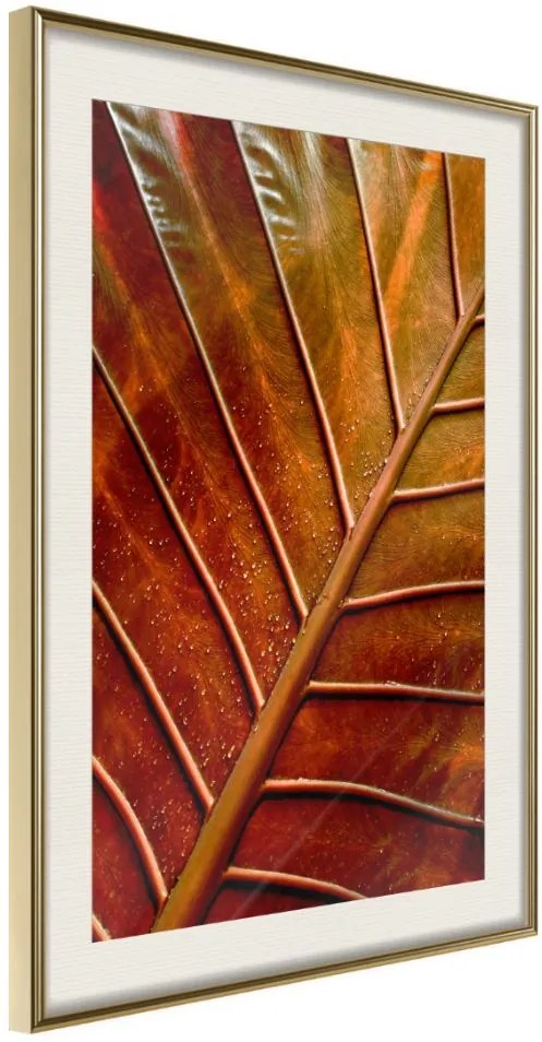 Αφίσα - Bronze Leaf - 20x30 - Χρυσό - Με πασπαρτού