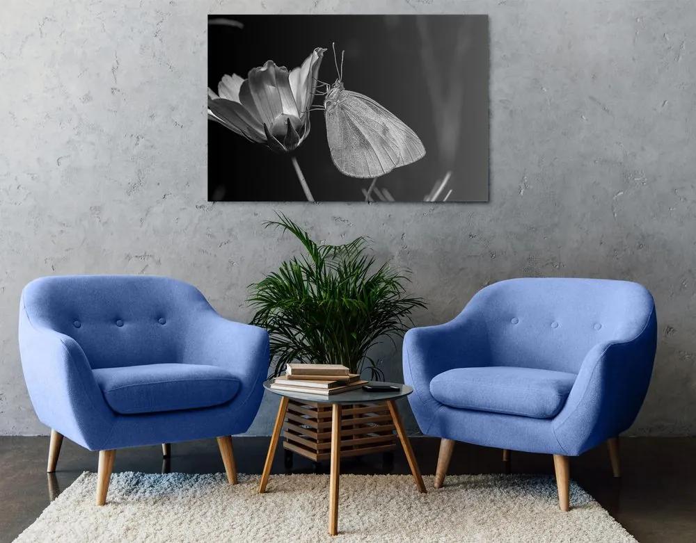 Εικόνα μιας πεταλούδας σε ένα λουλούδι σε μαύρο & άσπρο - 90x60