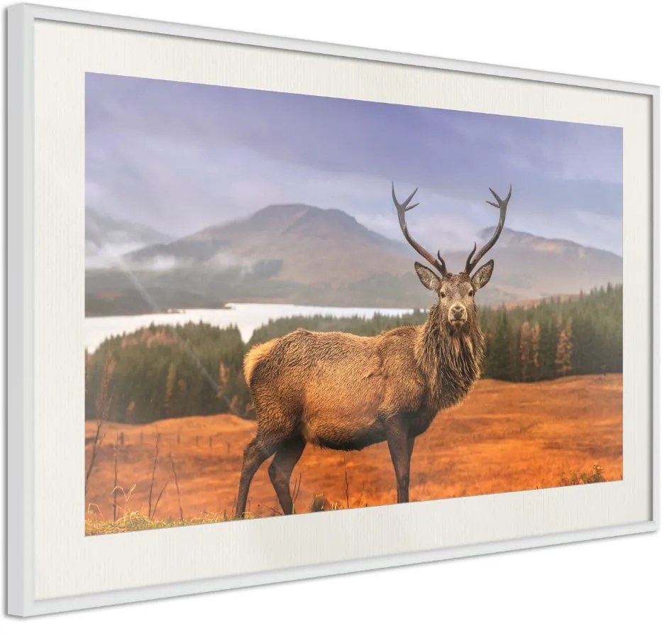 Αφίσα - Majestic Deer - 30x20 - Χρυσό - Χωρίς πασπαρτού