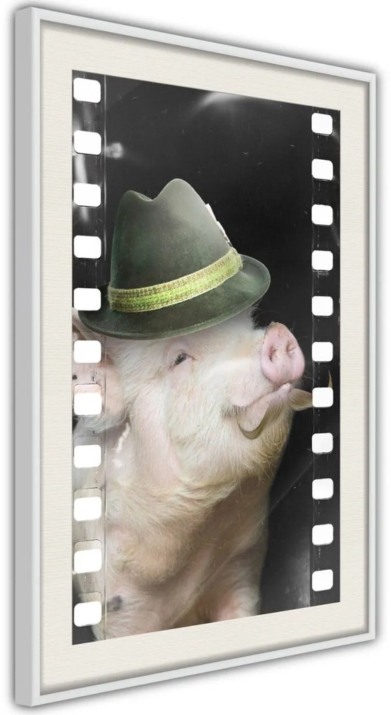 Αφίσα - Dressed Up Piggy - 20x30 - Χρυσό - Χωρίς πασπαρτού