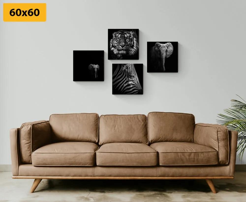 Σετ εικόνων με ζώα σε ασπρόμαυρο στυλ - 4x 60x60