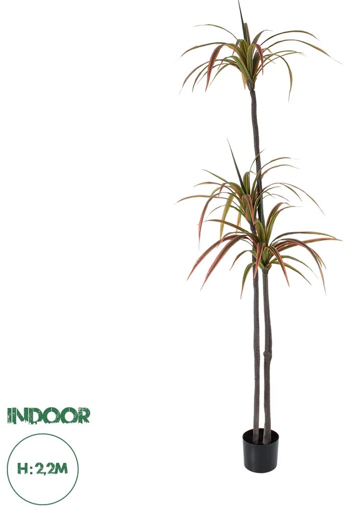 20371 GloboStar® Artificial Garden DRAGON BLOOD TREE 20371 - Τεχνητό Διακοσμητικό Φυτό Δράκαινα Υ220cm