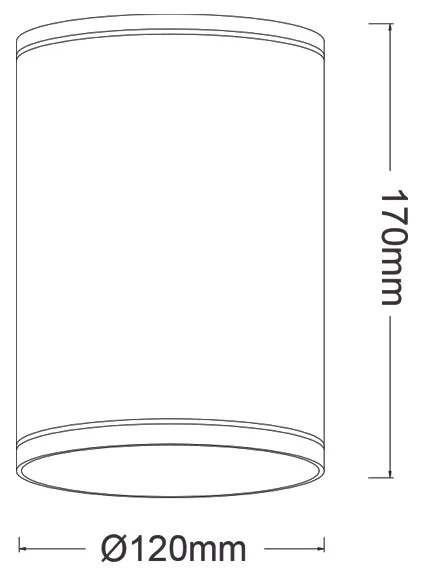 E27 PAR30  ROUND CEILING LUMINAIRE 230V AC MATT WHITE IP65 MAX.35W - LG2302E27W - LG2302E27W