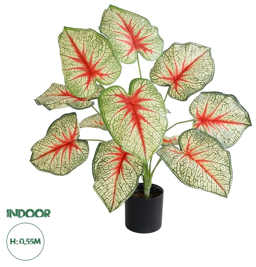 Artificial Garden CALADIUM PLANT 20932 Διακοσμητικό Φυτό Καλάντιουμ Φ58 x Υ55cm