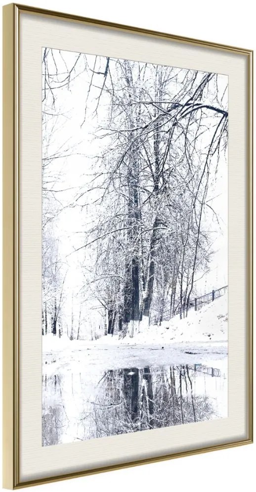 Αφίσα - Snowy Park - 20x30 - Χρυσό - Με πασπαρτού