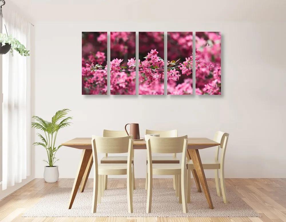 Εικόνα 5 τμημάτων λεπτομερή άνθη κερασιάς - 100x50