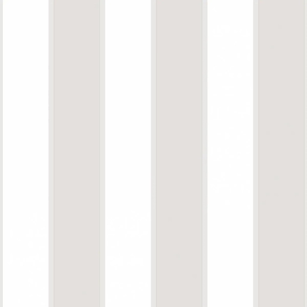 Ταπετσαρία Τοίχου Ανοιχτή Γκρι-Λευκή Ρίγα RK22060D