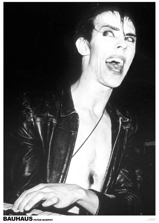 Αφίσα Peter Murphy of Bauhaus