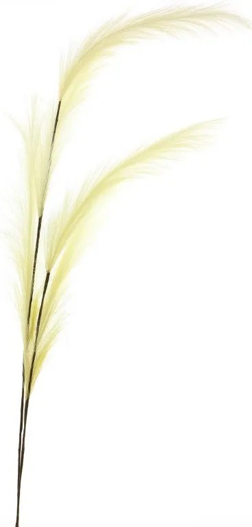 Supergreens Τεχνητό Κλαδί Φτερό Μπεζ 145 εκ