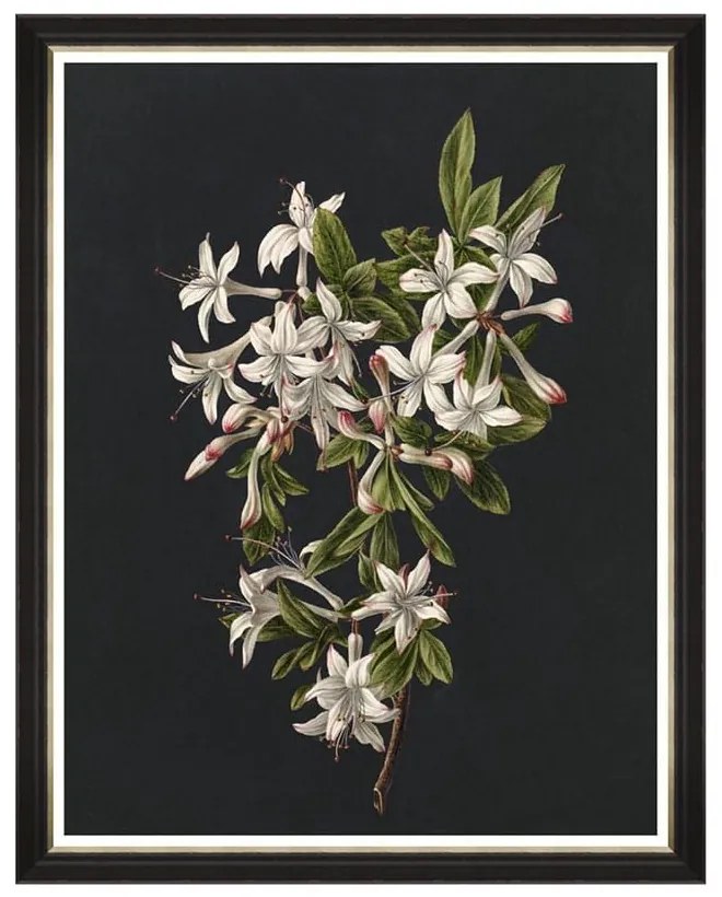 Κάδρο Delicate Bloom II FA13146 70X90 MindTheGap Κάθετοι Wood