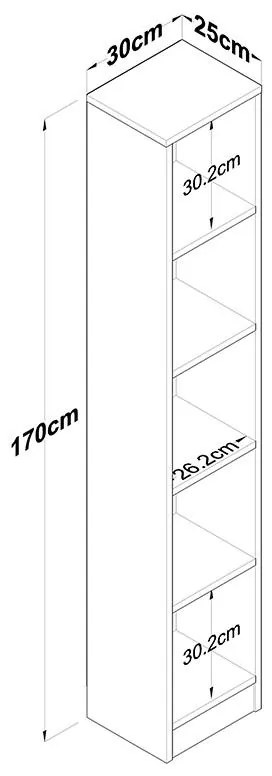 Βιβλιοθήκη Goldie φυσικό-λευκό 30x25x170εκ 30x25x170 εκ.
