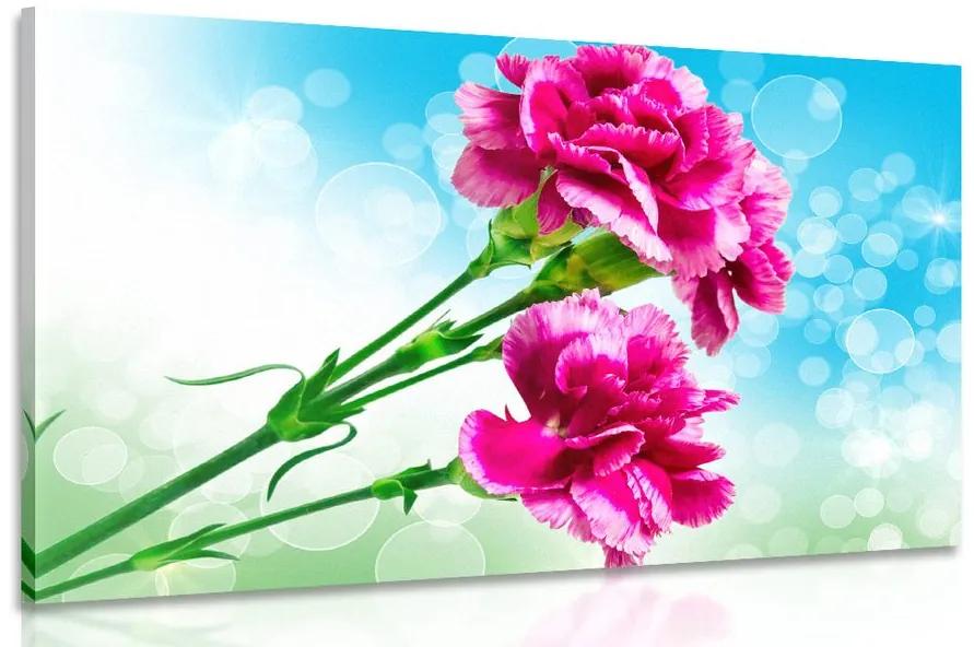 Εικόνα λουλούδι γαρύφαλλο - 60x40