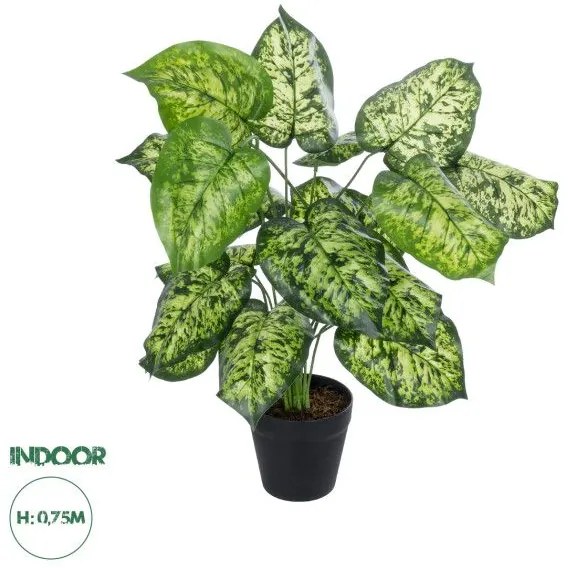 Artificial Garden DIEFFENBACHIA PLANT 20914 Διακοσμητικό Φυτό Διφενμπάχια Φ58 x Υ75cm Globostar 20914