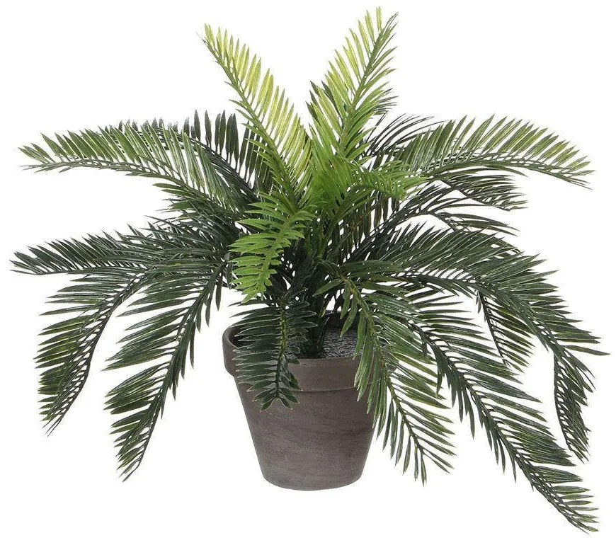 Τεχνητό Φυτό Φοινικόθαμνος 7670-6 44x44x37cm Green Supergreens Polyethylene