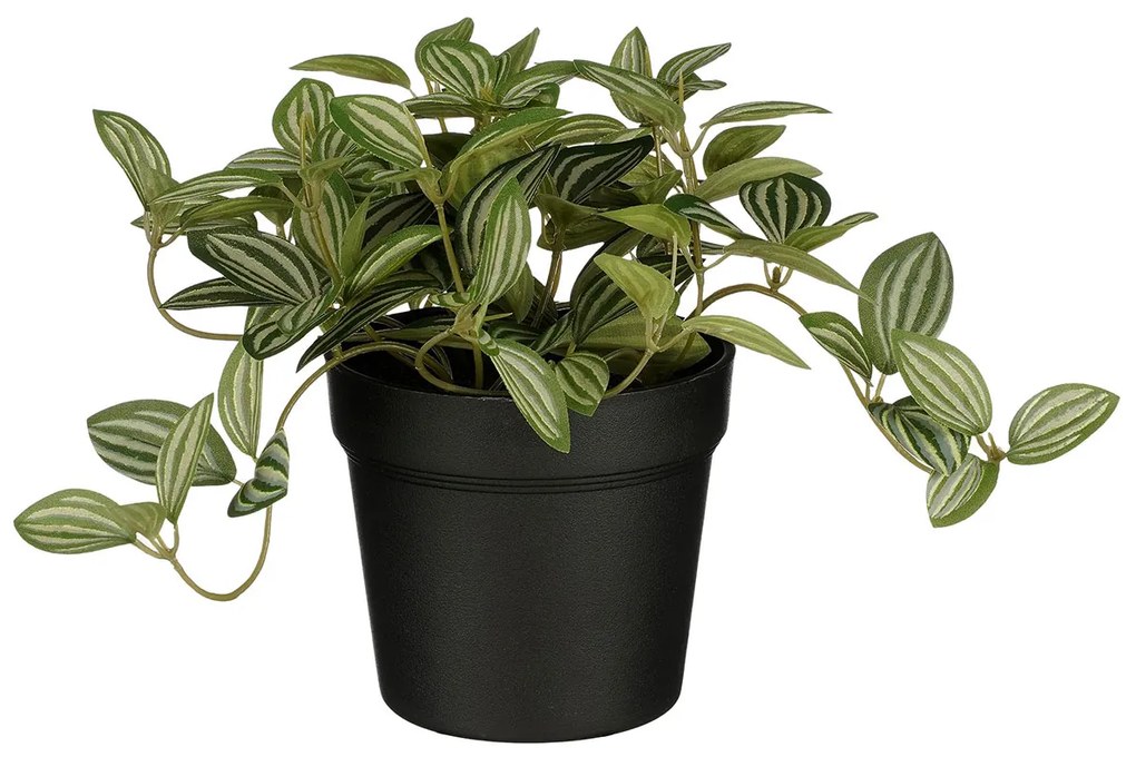 Τεχνητό Φυτό Σε Γλάστρα 16εκ. Edelman Tradescantia 1151032