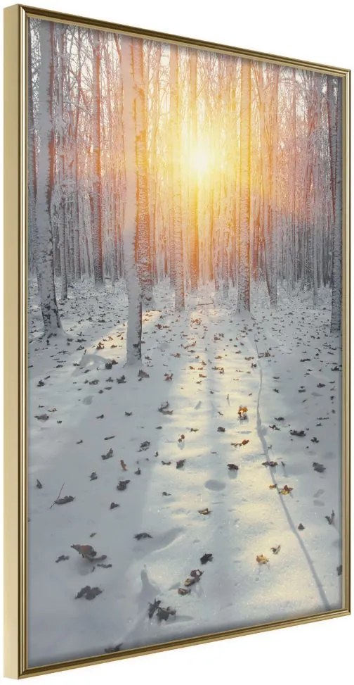 Αφίσα - Frosty Sunset - 30x45 - Χρυσό - Χωρίς πασπαρτού