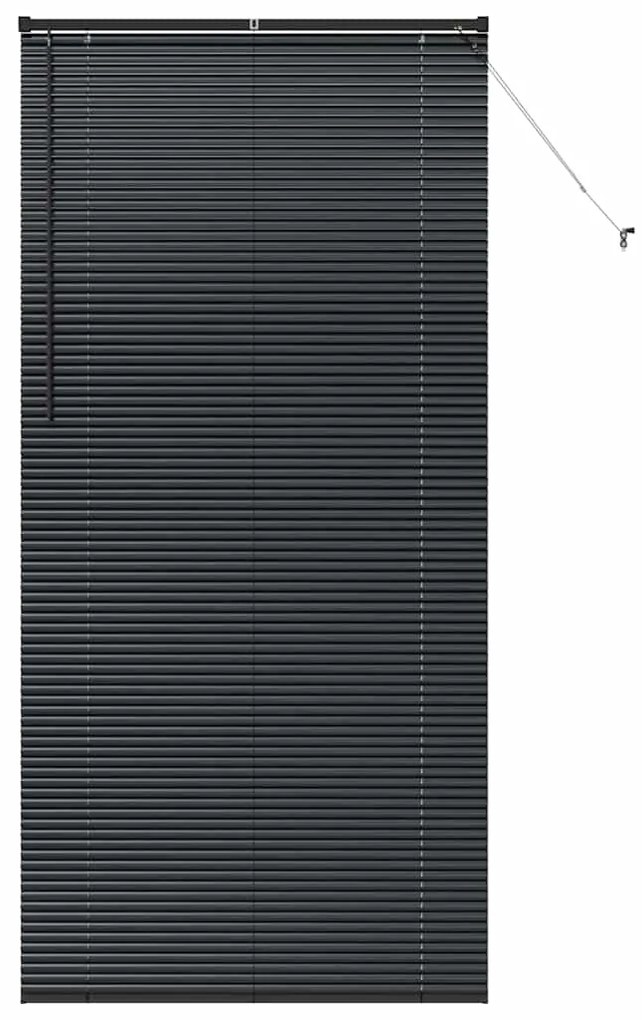 vidaXL Ρολό Παραθύρου με κουρτίνες Άλλο Μαύρο 100 x 220 εκ. Αλουμίνιο